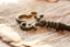 Picture of Bible Key 3
