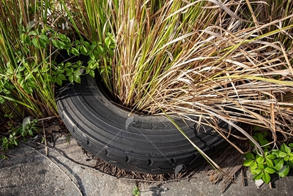 Picture of Abandoned Tire