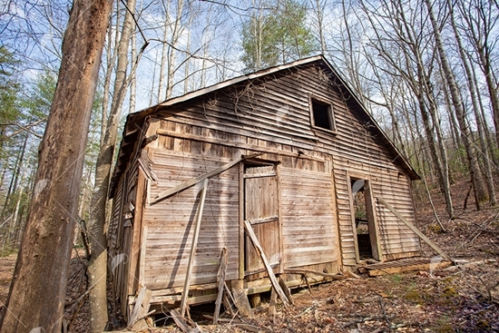 Picture of Abandoned Cabin in the Woods 2
