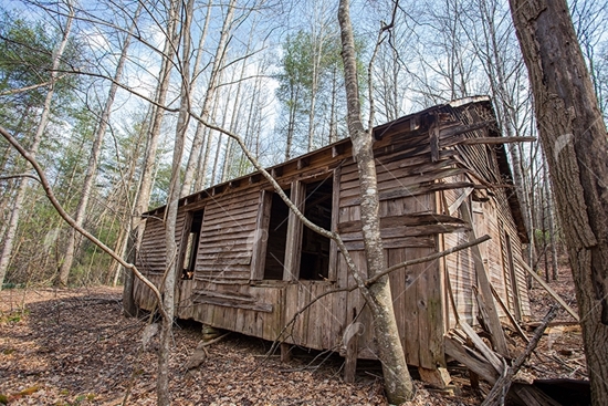 Picture of Abandoned Cabin in the Woods 3