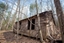 Picture of Abandoned Cabin in the Woods 3