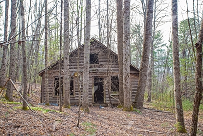 Picture of Abandoned Cabin in the woods 4