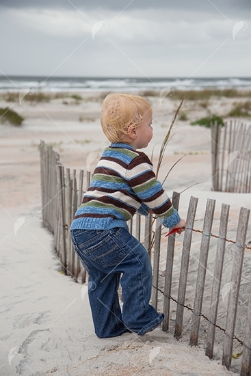 Picture of Todler Playing With Fence On The Beach