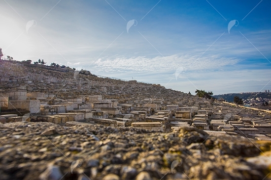Picture of Mt of Olives Cemetery