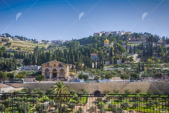 Picture of Mt of Olives Jerusalem