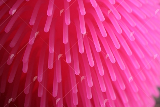 Picture of Pink Texture