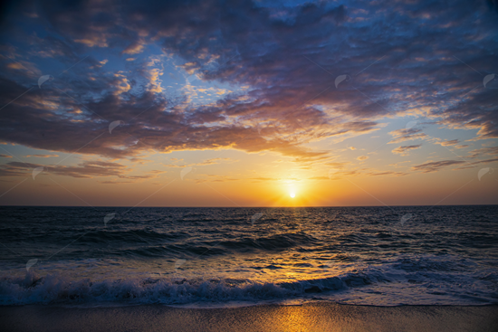 Picture of Sunset Sarasota Beach Florida