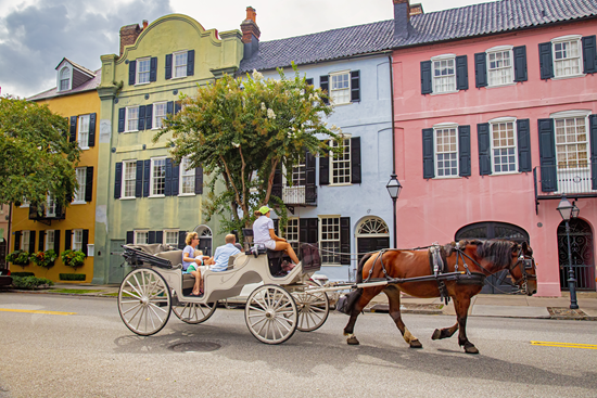 Picture of Horse Carriage Ride Through Charleston South Carolina