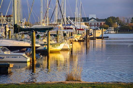 Picture of Sailboat Harbor in North Carolina 2