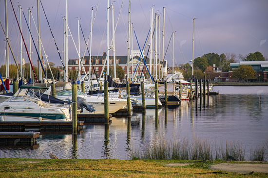 Picture of Sailboat Harbor in North Carolina 3