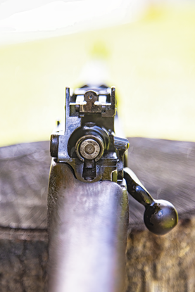 Picture of Vintage rifle from behind