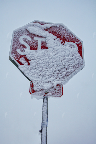 Picture of Snow Covered Stop Sign