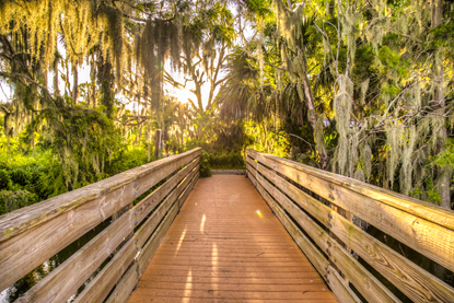 Picture of Little Park Bridge