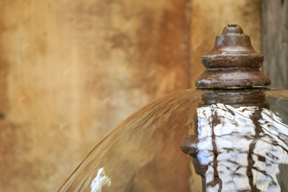 Picture of Animal Kingdom Fountain 2