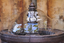 Picture of Animal Kingdom Fountain