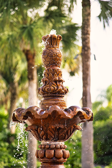 Picture of Tropical Outdoor Fountain