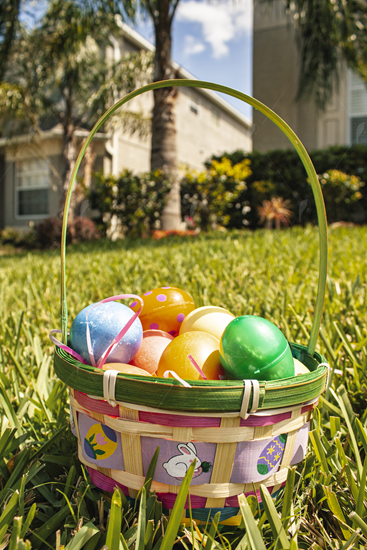 Picture of Easter Basket in the grass 3