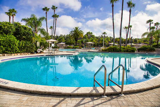 Picture of Florida Resort Pool