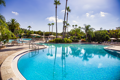 Picture of Florida Resort Pool 2