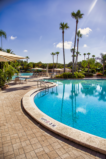 Picture of Florida Resort Pool 3