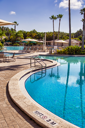 Picture of Florida Resort Pool 4