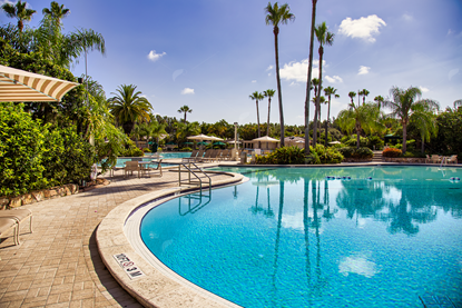 Picture of Florida Resort Pool 5