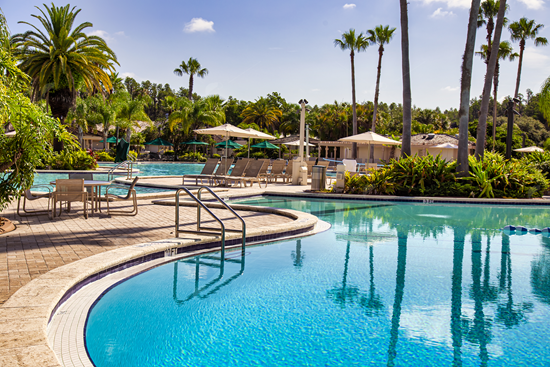 Picture of Florida Resort Pool 6