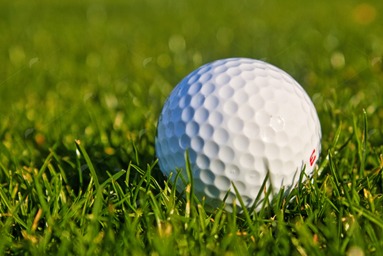 Picture of Golf Ball In The Grass