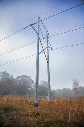Picture of High Voltage Power line on foggy Morning