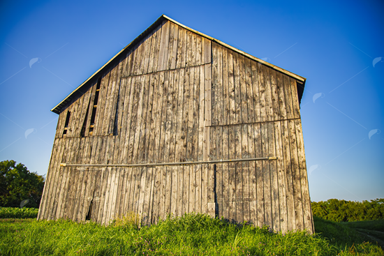 Picture of Tobacco Barn Blue Sky