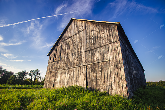 Picture of Tobacco Barn Blue Sky 4