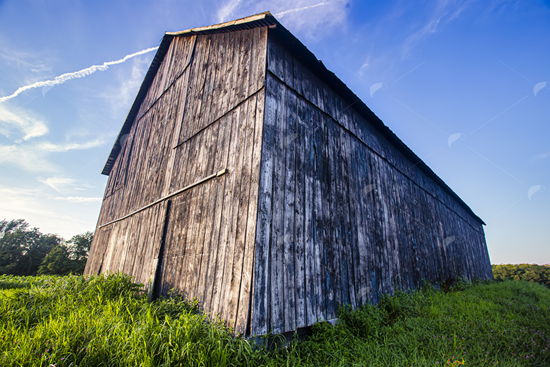 Picture of Tobacco Barn Blue Sky 5