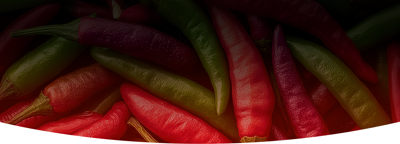 Category Header